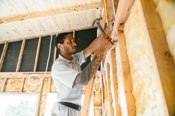 Best Insulation for New Construction  in Lancaster, TX