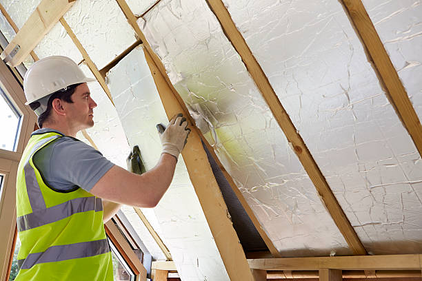 Best Best Insulation Companies  in Lancaster, TX